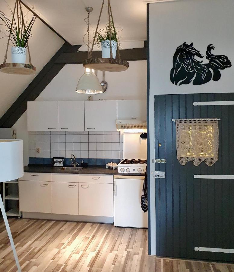 Apartment Het Friesche Paard Purmer Экстерьер фото